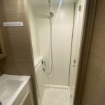 Lagoon 42 catamaran guest bathroom with separate shower and marine toilet